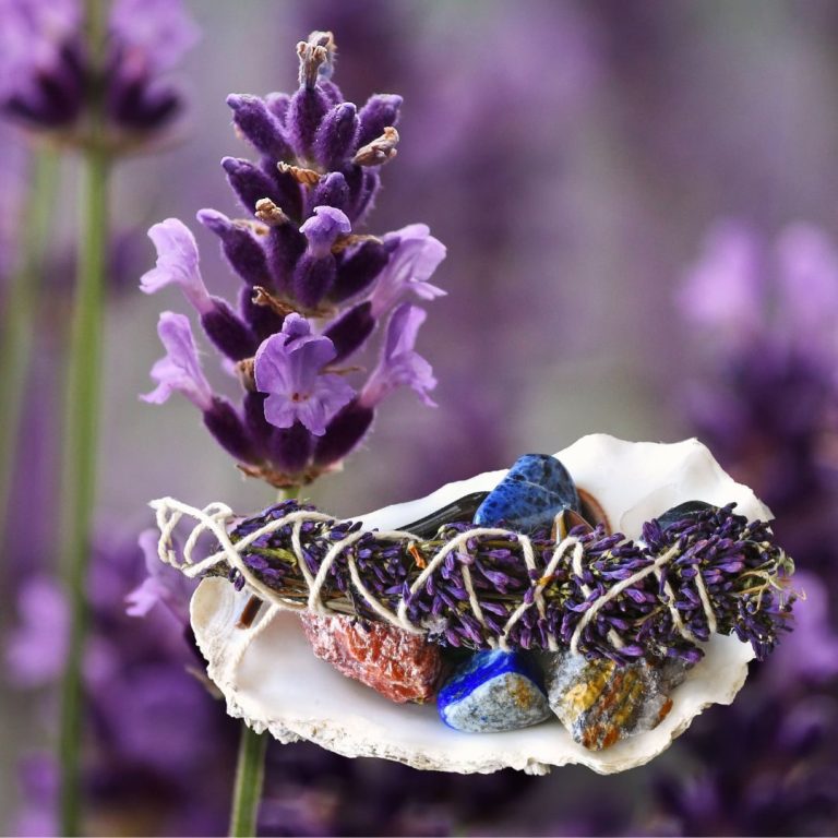 Lavendelblommor med en snäcka med lavendel smudge buntar.